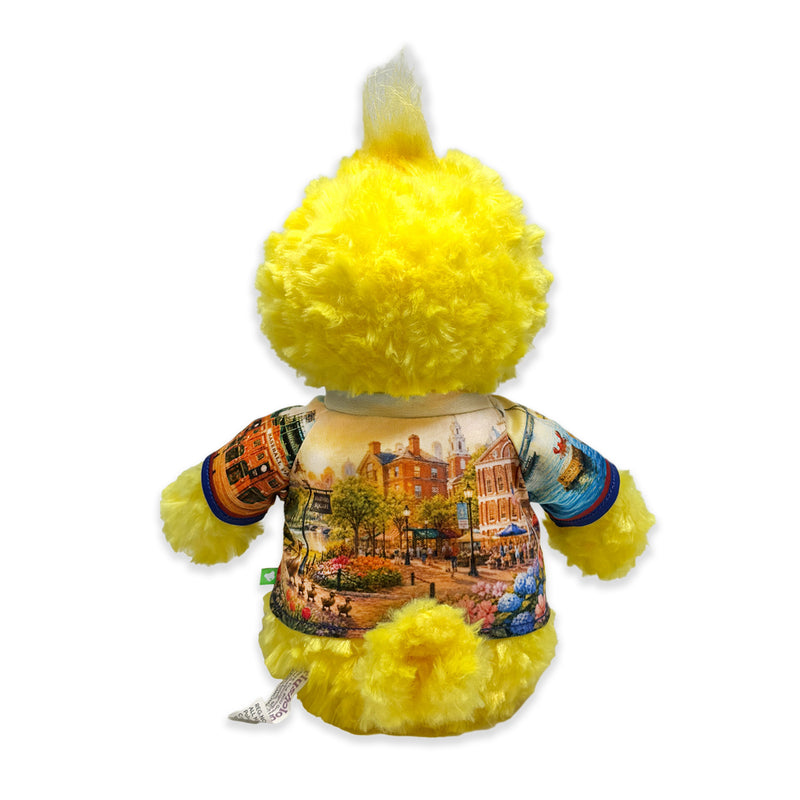 9” Boston Duck • DestiWear™ • Souvenir Plush