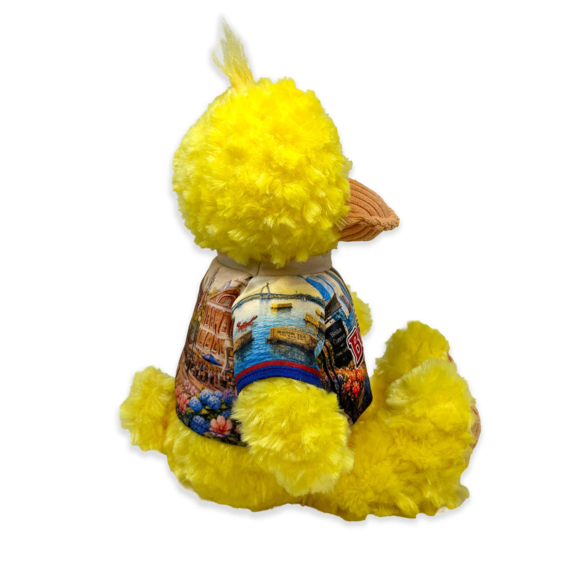 9” Boston Duck • DestiWear™ • Souvenir Plush
