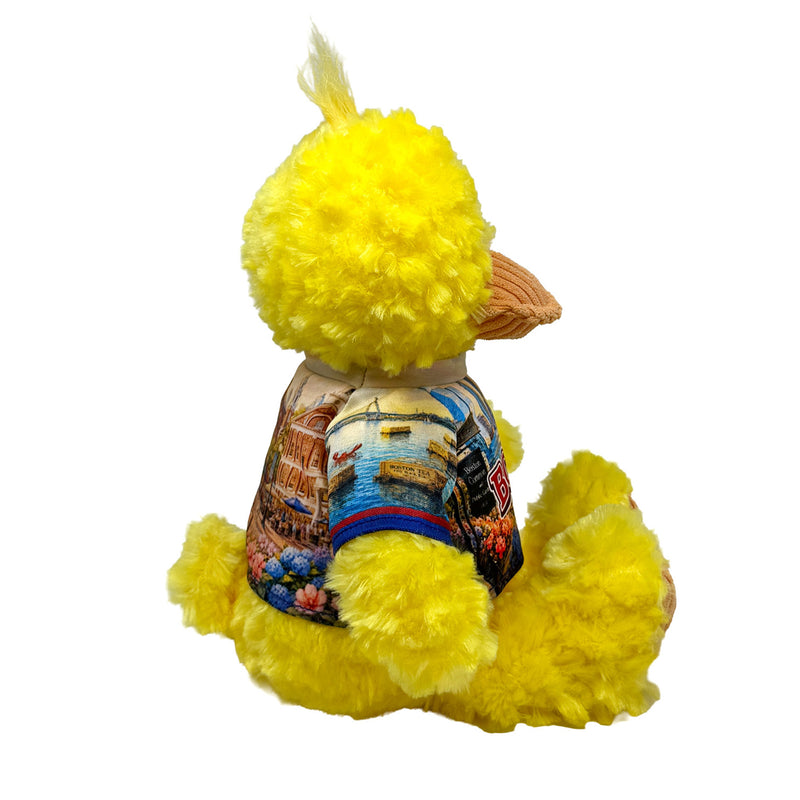 9” Boston Duck • DestiWear™ • Souvenir Plush