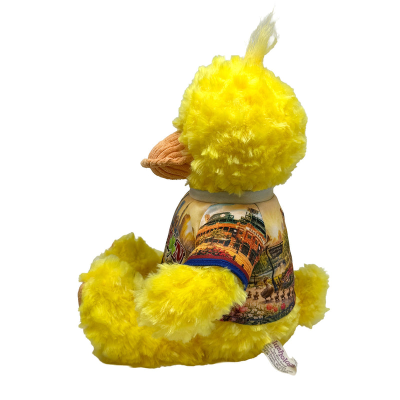 9” Boston Duck • DestiWear™ • Souvenir Plush