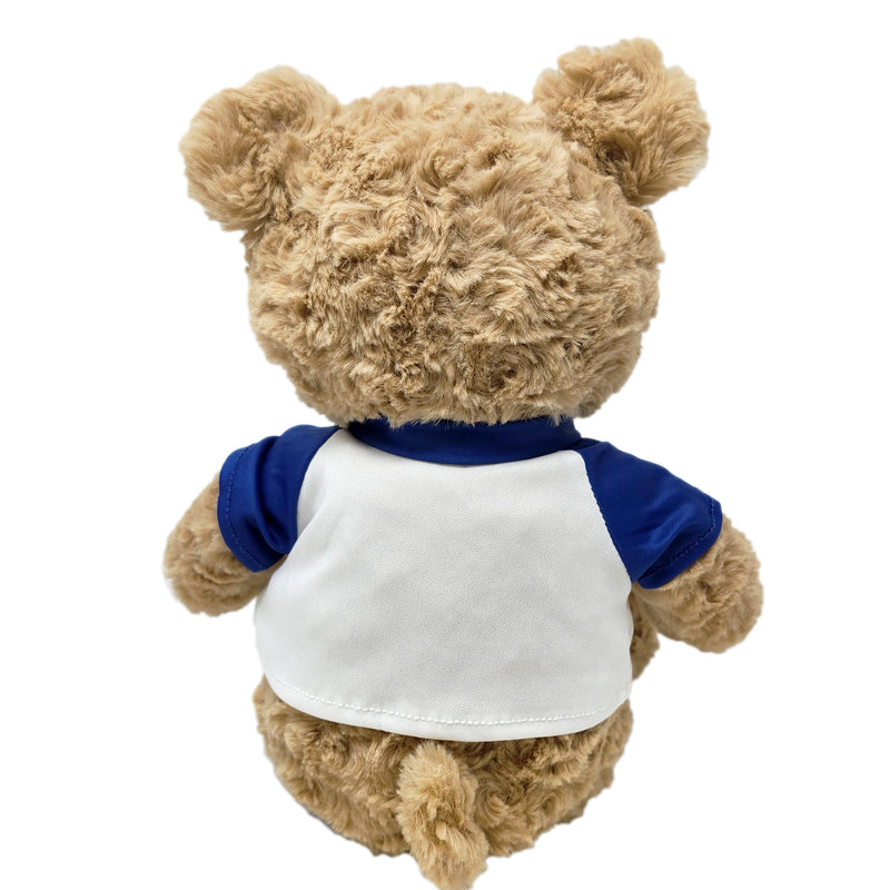 Back view of teddy bear plush wearing “Birthday Boy” shirt