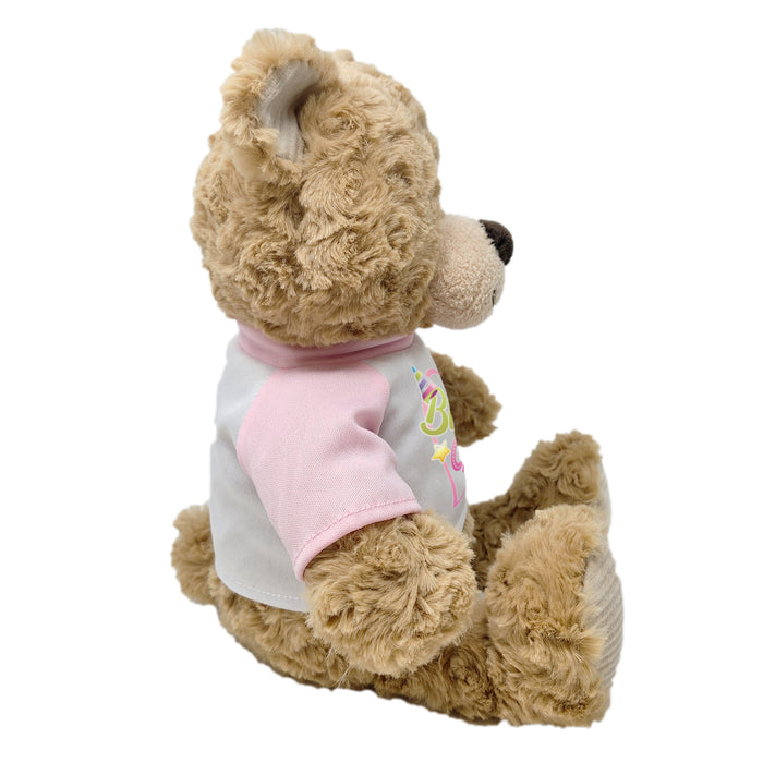 9" Happy Birthday Teddy Bear