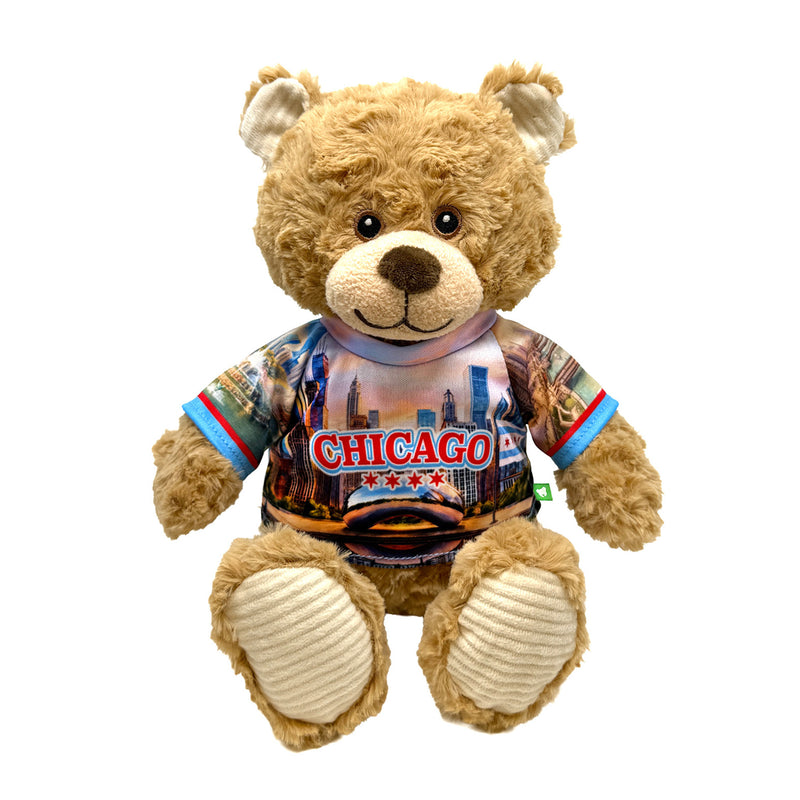 9” Chicago Teddy Bear • DestiWear™ • Souvenir Plush