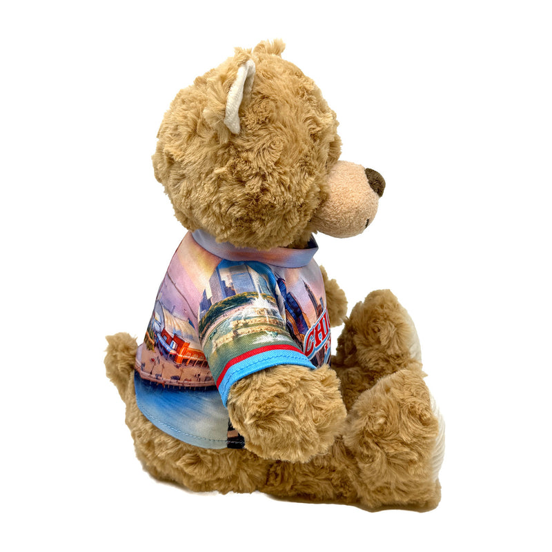 9” Chicago Teddy Bear • DestiWear™ • Souvenir Plush