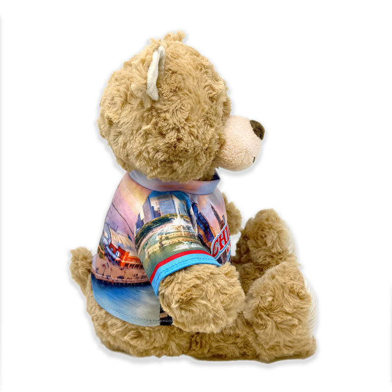 9” Chicago Teddy Bear • DestiWear™ • Souvenir Plush