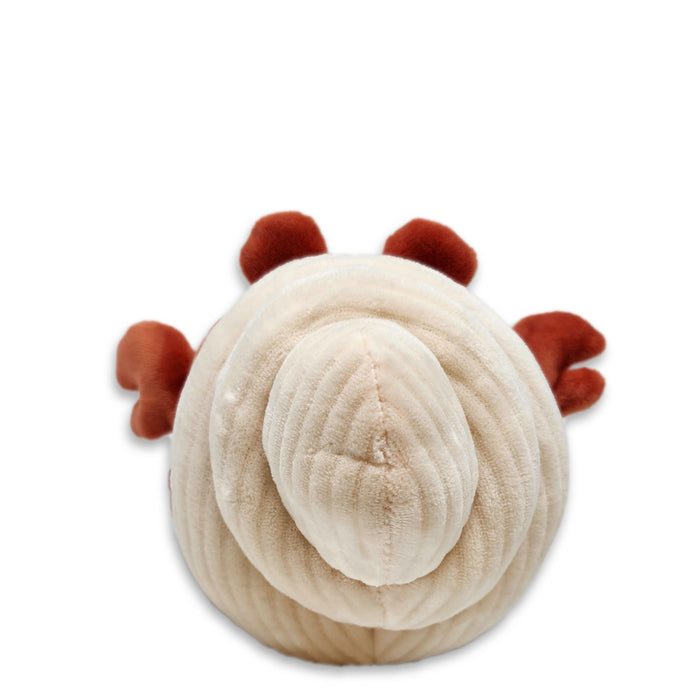 6" Create Your Own Hermit Crab Squishy