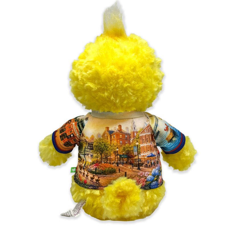 9” Boston Duck • DestiWear™ • Souvenir Plush