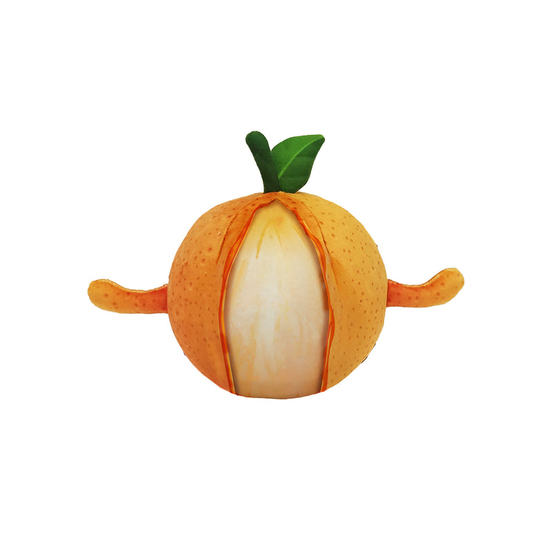 5" Create Your Own Squishy Orange