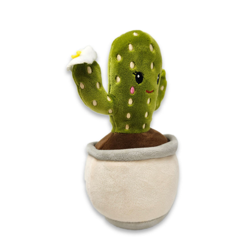 6" Create Your Own Saguaro Cactus Squishy