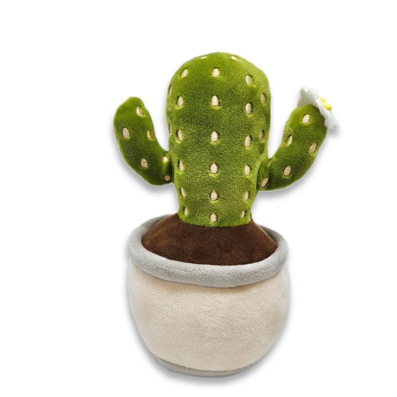 6" Create Your Own Saguaro Cactus Squishy