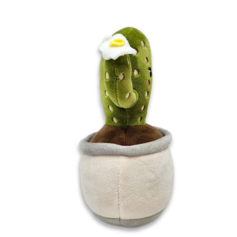 6" Create Your Own Saguaro Cactus Squishy