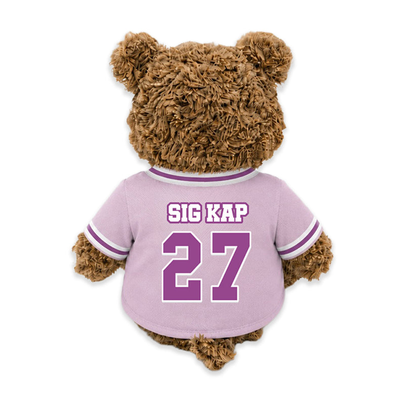 9” Sigma Kappa Brown Teddy • DestiWear™ • Eco Friendly