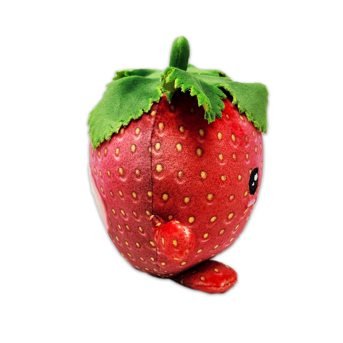 5" Create Your Own Strawberry Squishy