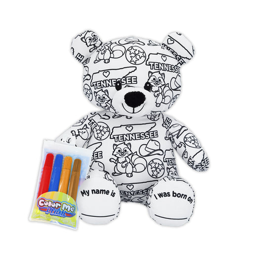 8.5" Tennessee Color Me Plush Teddy